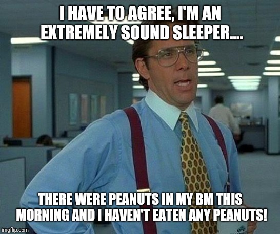 Nuts!  | I HAVE TO AGREE, I'M AN EXTREMELY SOUND SLEEPER.... THERE WERE PEANUTS IN MY BM THIS MORNING AND I HAVEN'T EATEN ANY PEANUTS! | image tagged in memes,that would be great,peanuts,bowel movement,sleeping,surprise | made w/ Imgflip meme maker