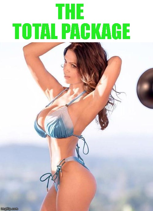 Love this look | THE TOTAL PACKAGE | image tagged in boobs,flat stomach | made w/ Imgflip meme maker