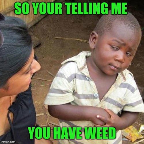 Third World Skeptical Kid Meme | SO YOUR TELLING ME; YOU HAVE WEED | image tagged in memes,third world skeptical kid | made w/ Imgflip meme maker