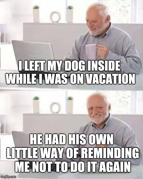 Hide the Pain Harold Meme | I LEFT MY DOG INSIDE WHILE I WAS ON VACATION HE HAD HIS OWN LITTLE WAY OF REMINDING ME NOT TO DO IT AGAIN | image tagged in memes,hide the pain harold | made w/ Imgflip meme maker