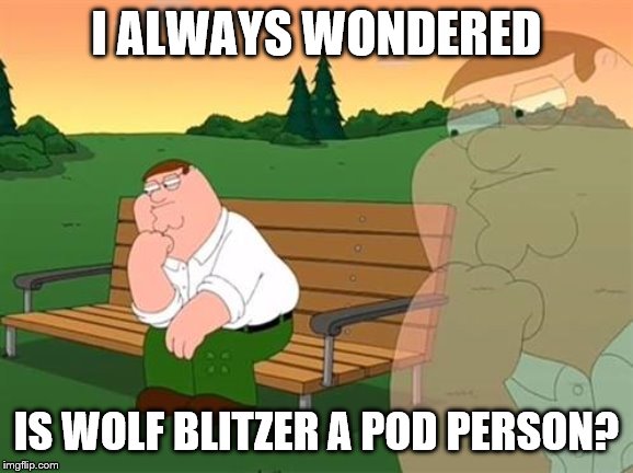 pensive reflecting thoughtful peter griffin | I ALWAYS WONDERED IS WOLF BLITZER A POD PERSON? | image tagged in pensive reflecting thoughtful peter griffin | made w/ Imgflip meme maker