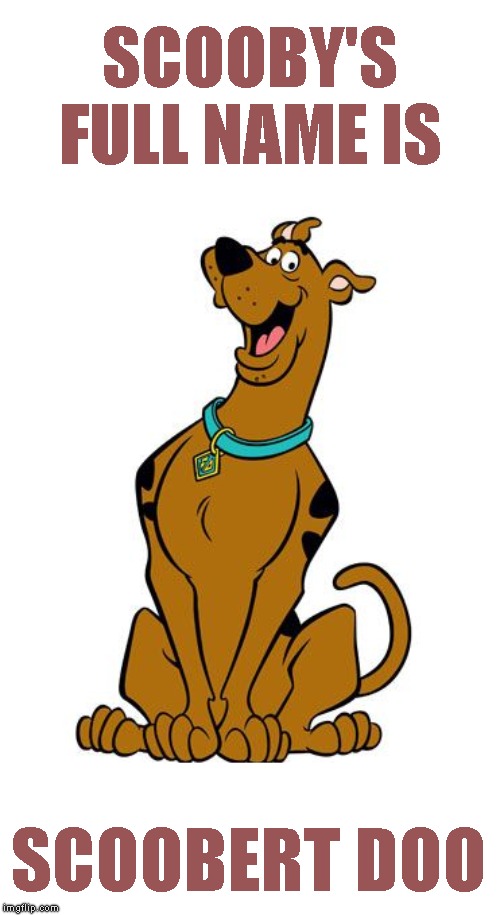 I Never Knew.. | SCOOBY'S FULL NAME IS; SCOOBERT DOO | image tagged in mind blown,scoobert scooby doo,the mystery machine,why is the show named after the dog | made w/ Imgflip meme maker