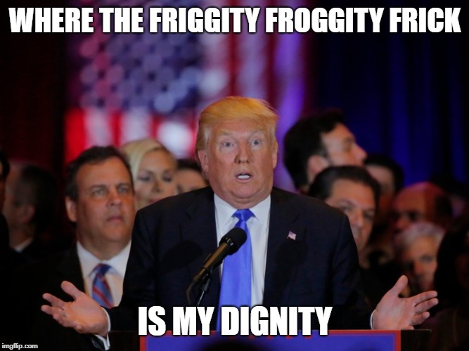 Donald's internal monologue | WHERE THE FRIGGITY FROGGITY FRICK; IS MY DIGNITY | image tagged in donald trump,stupid,funny,memes | made w/ Imgflip meme maker