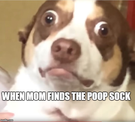 Mr. Bubz | WHEN MOM FINDS THE POOP SOCK | image tagged in mr bubz | made w/ Imgflip meme maker