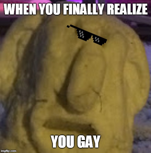 meme | WHEN YOU FINALLY REALIZE; YOU GAY | image tagged in funny memes | made w/ Imgflip meme maker