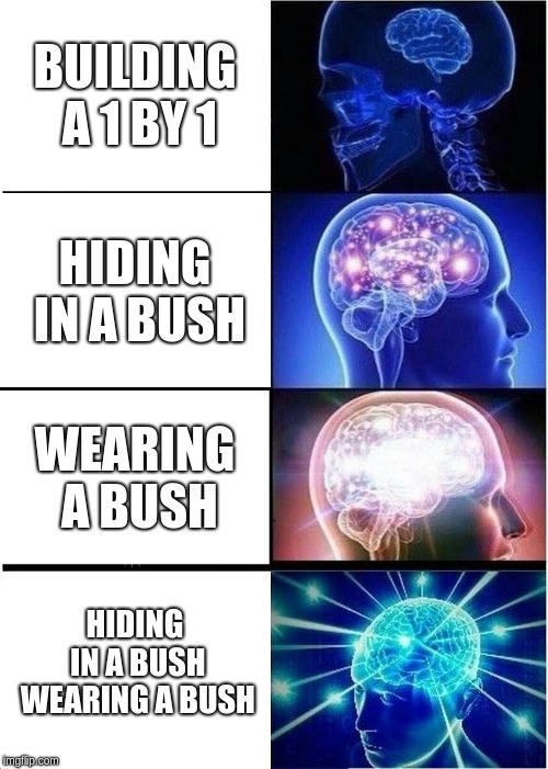 Expanding Brain Meme | BUILDING A 1 BY 1; HIDING IN A BUSH; WEARING A BUSH; HIDING IN A BUSH WEARING A BUSH | image tagged in memes,expanding brain | made w/ Imgflip meme maker