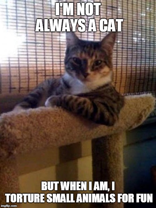 The Most Interesting Cat In The World | I'M NOT ALWAYS A CAT; BUT WHEN I AM, I TORTURE SMALL ANIMALS FOR FUN | image tagged in memes,the most interesting cat in the world | made w/ Imgflip meme maker