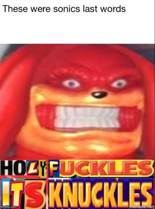 Sonic | image tagged in sonic the hedgehog,knuckles | made w/ Imgflip meme maker
