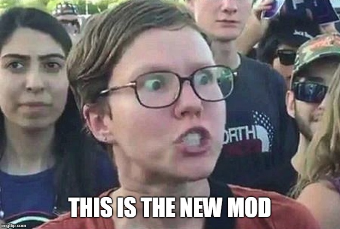 Triggered Liberal | THIS IS THE NEW MOD | image tagged in triggered liberal | made w/ Imgflip meme maker