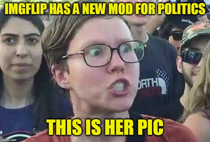 Triggered Liberal | IMGFLIP HAS A NEW MOD FOR POLITICS; THIS IS HER PIC | image tagged in triggered liberal,imgflip mods,politics,just kidding | made w/ Imgflip meme maker
