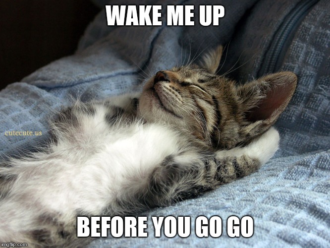 sleeping cat | WAKE ME UP; BEFORE YOU GO GO | image tagged in sleeping cat | made w/ Imgflip meme maker