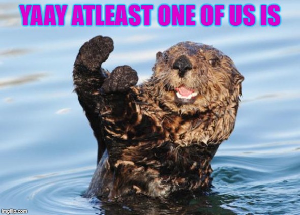 otter celebration | YAAY ATLEAST ONE OF US IS | image tagged in otter celebration | made w/ Imgflip meme maker