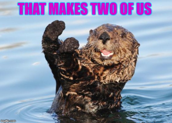 otter celebration | THAT MAKES TWO OF US | image tagged in otter celebration | made w/ Imgflip meme maker