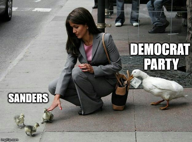 Duck thief | DEMOCRAT PARTY; SANDERS | image tagged in duck thief | made w/ Imgflip meme maker