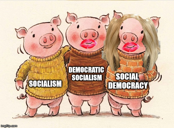 Three Pigs walk into an Economy | DEMOCRATIC SOCIALISM; SOCIAL DEMOCRACY; SOCIALISM | image tagged in socialism,memes,three little pigs,economy,lipstick,what if i told you | made w/ Imgflip meme maker