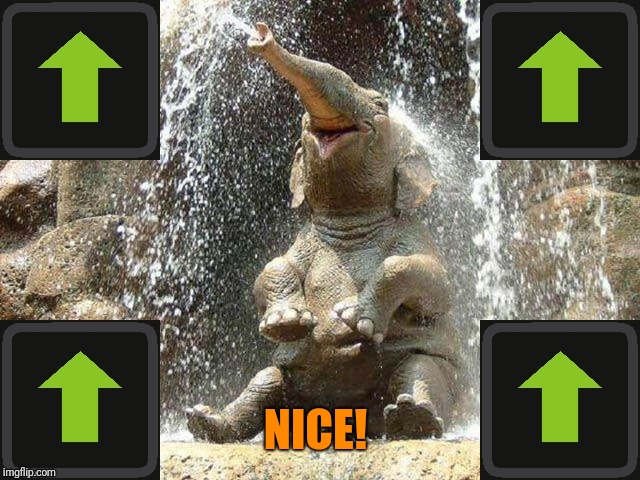 Upvote Elephant | NICE! | image tagged in upvote elephant | made w/ Imgflip meme maker