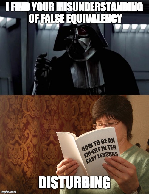I FIND YOUR MISUNDERSTANDING OF FALSE EQUIVALENCY DISTURBING | image tagged in darth vader,expert | made w/ Imgflip meme maker