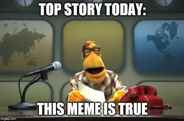 Muppet News Flash | TOP STORY TODAY: THIS MEME IS TRUE | image tagged in muppet news flash | made w/ Imgflip meme maker