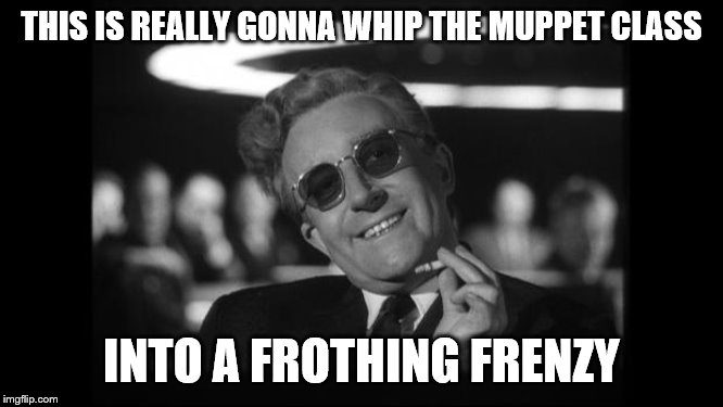 dr strangelove | THIS IS REALLY GONNA WHIP THE MUPPET CLASS INTO A FROTHING FRENZY | image tagged in dr strangelove | made w/ Imgflip meme maker