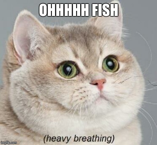 Heavy Breathing Cat Meme | OHHHHH FISH | image tagged in memes,heavy breathing cat | made w/ Imgflip meme maker