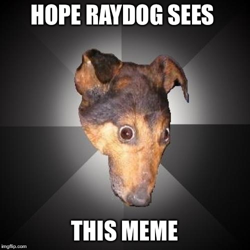 Raydog see my meme | HOPE RAYDOG SEES; THIS MEME | image tagged in please | made w/ Imgflip meme maker