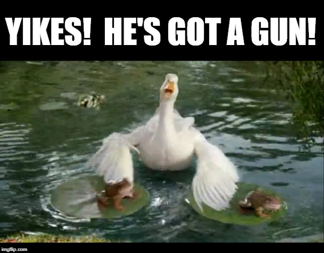 Aflac | YIKES!  HE'S GOT A GUN! | image tagged in aflac | made w/ Imgflip meme maker