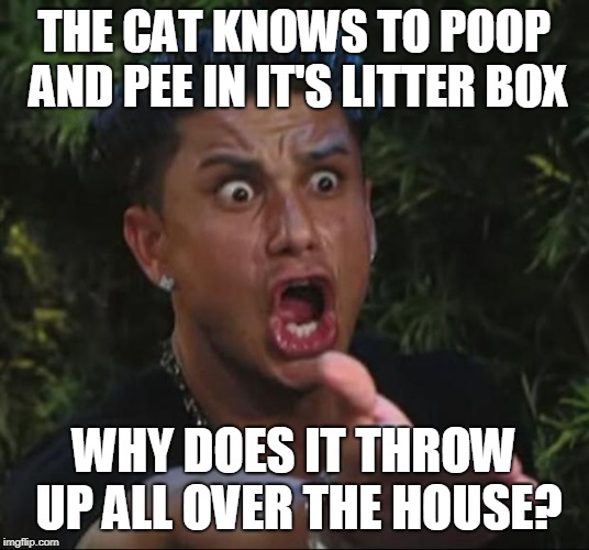 DJ Pauly D | THE CAT KNOWS TO POOP AND PEE IN IT'S LITTER BOX; WHY DOES IT THROW UP ALL OVER THE HOUSE? | image tagged in memes,dj pauly d,cats,cat,vomit,poop | made w/ Imgflip meme maker