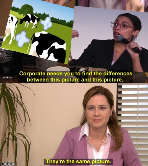 They're The Same Picture Meme | image tagged in spot the difference | made w/ Imgflip meme maker