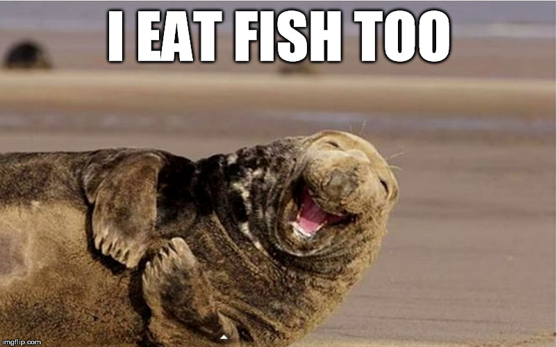 I EAT FISH TOO | image tagged in laughing seal | made w/ Imgflip meme maker