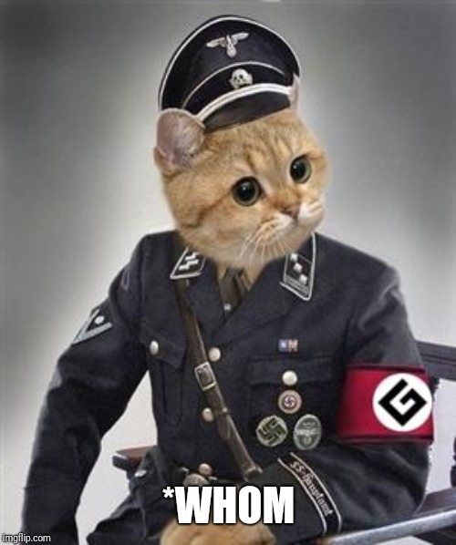 Grammar Nazi Cat | *WHOM | image tagged in grammar nazi cat | made w/ Imgflip meme maker