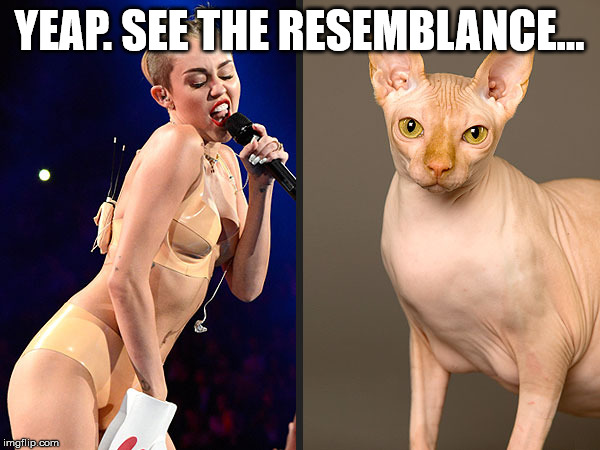 YEAP. SEE THE RESEMBLANCE... | made w/ Imgflip meme maker