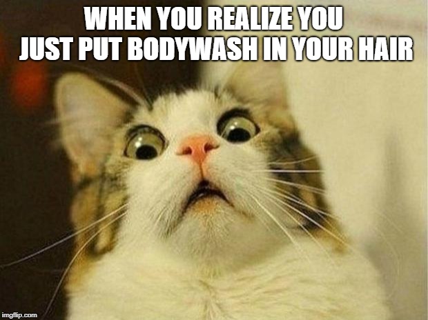 Scared Cat Meme | WHEN YOU REALIZE YOU JUST PUT BODYWASH IN YOUR HAIR | image tagged in memes,scared cat | made w/ Imgflip meme maker