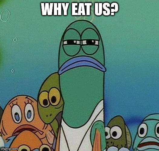 SpongeBob | WHY EAT US? | image tagged in spongebob | made w/ Imgflip meme maker