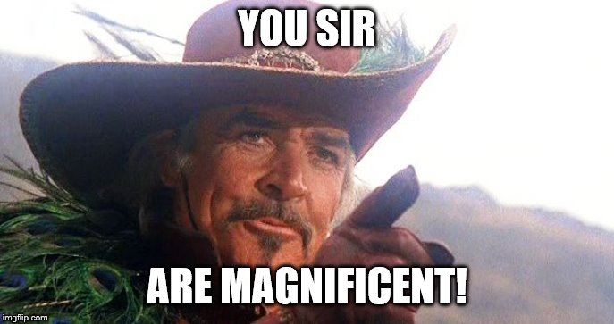 highlander | YOU SIR ARE MAGNIFICENT! | image tagged in highlander | made w/ Imgflip meme maker
