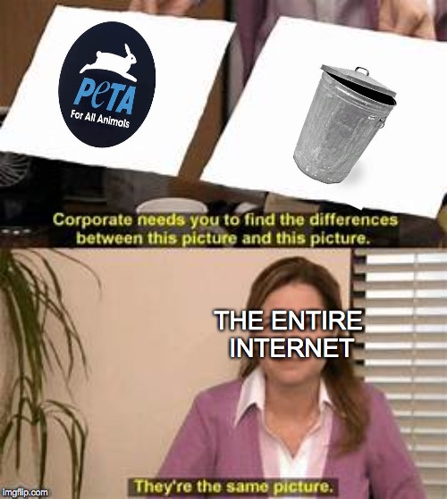 They’re the same picture. | THE ENTIRE INTERNET | image tagged in theyre the same picture | made w/ Imgflip meme maker