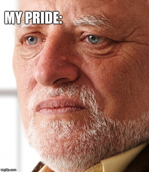 Dissapointment | MY PRIDE: | image tagged in dissapointment | made w/ Imgflip meme maker