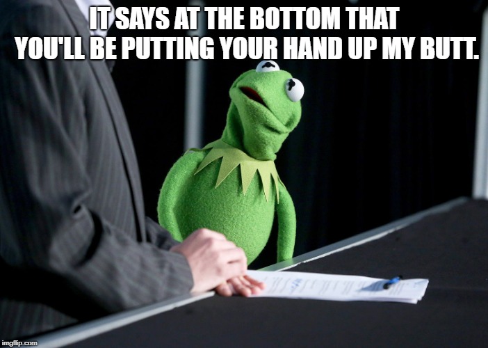 Kermit must have had the most awkward job interview with Jim. | IT SAYS AT THE BOTTOM THAT YOU'LL BE PUTTING YOUR HAND UP MY BUTT. | image tagged in kermit,funny,funny memes | made w/ Imgflip meme maker