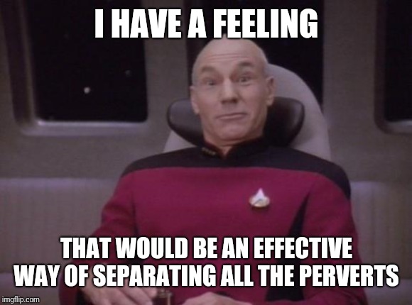 picard surprised | I HAVE A FEELING THAT WOULD BE AN EFFECTIVE WAY OF SEPARATING ALL THE PERVERTS | image tagged in picard surprised | made w/ Imgflip meme maker