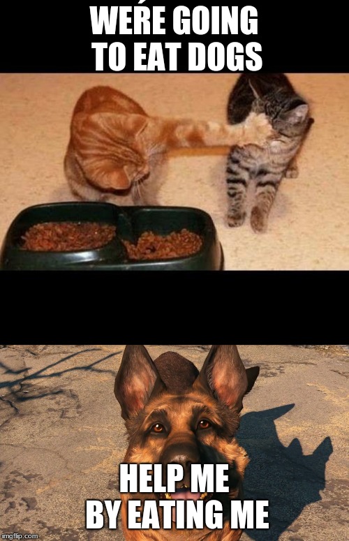 cats are going to eat dogs | WEŔE GOING TO EAT DOGS; HELP ME BY EATING ME | image tagged in cats share food,dogmeat moon moon | made w/ Imgflip meme maker