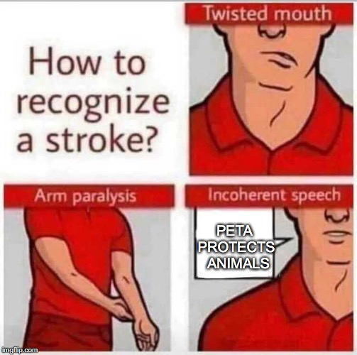 How to recognize a stroke | PETA PROTECTS 
ANIMALS | image tagged in how to recognize a stroke | made w/ Imgflip meme maker