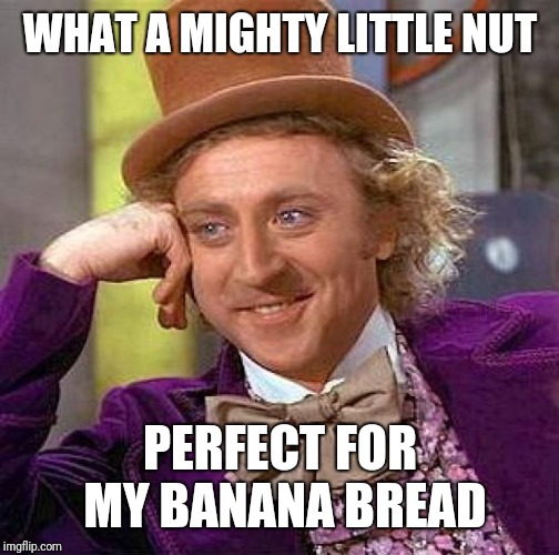 Creepy Condescending Wonka Meme | WHAT A MIGHTY LITTLE NUT PERFECT FOR MY BANANA BREAD | image tagged in memes,creepy condescending wonka | made w/ Imgflip meme maker