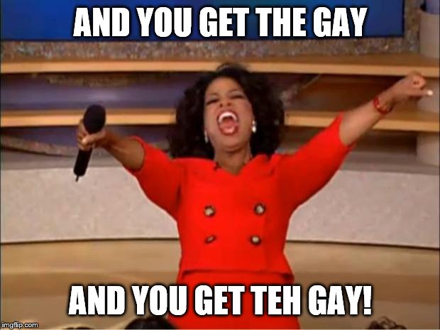 Oprah You Get A Meme | AND YOU GET THE GAY AND YOU GET TEH GAY! | image tagged in memes,oprah you get a | made w/ Imgflip meme maker