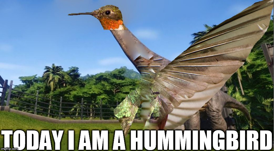 they said I could be anything,


well I felt like flyin! | TODAY I AM A HUMMINGBIRD | image tagged in brachiosautus,hummingbird,today,said | made w/ Imgflip meme maker