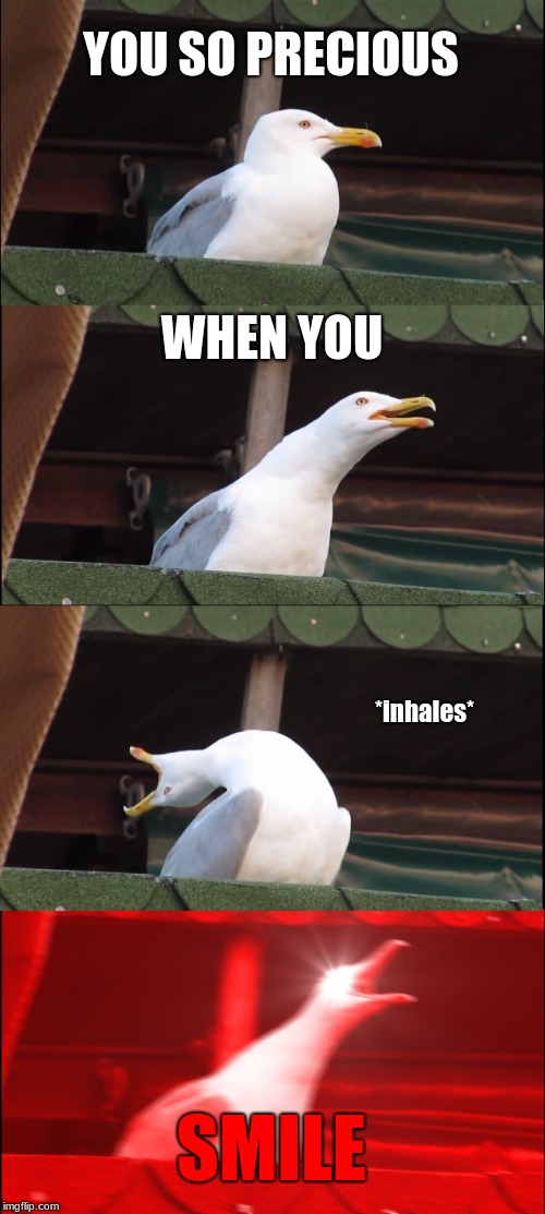 Inhaling Seagull Meme | YOU SO PRECIOUS; WHEN YOU; *inhales*; SMILE | image tagged in memes,inhaling seagull | made w/ Imgflip meme maker