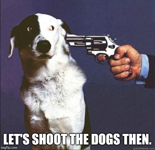 Shoot Dog | LET'S SHOOT THE DOGS THEN. | image tagged in shoot dog | made w/ Imgflip meme maker