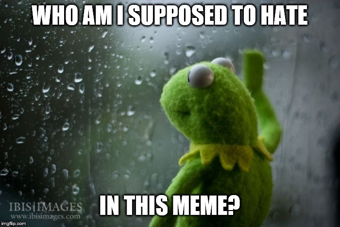kermit window | WHO AM I SUPPOSED TO HATE IN THIS MEME? | image tagged in kermit window | made w/ Imgflip meme maker