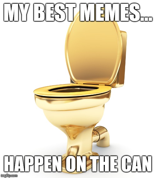 Straight Gold | MY BEST MEMES... HAPPEN ON THE CAN | image tagged in funny,toilet,meme,toilet humor | made w/ Imgflip meme maker