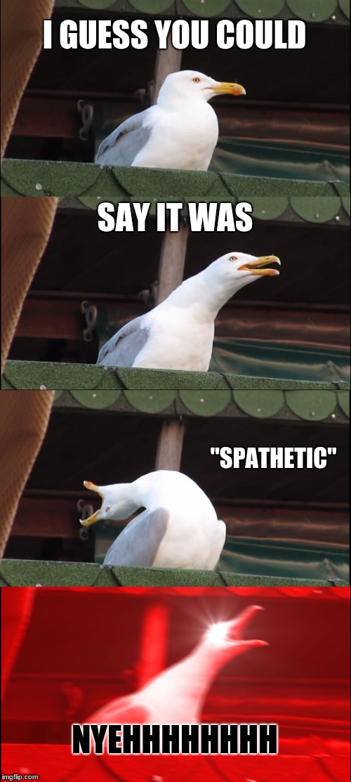 Inhaling Seagull | I GUESS YOU COULD; SAY IT WAS; "SPATHETIC"; NYEHHHHHHHH | image tagged in memes,inhaling seagull | made w/ Imgflip meme maker
