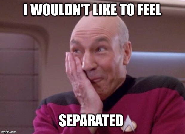Picard smirk | I WOULDN’T LIKE TO FEEL SEPARATED | image tagged in picard smirk | made w/ Imgflip meme maker
