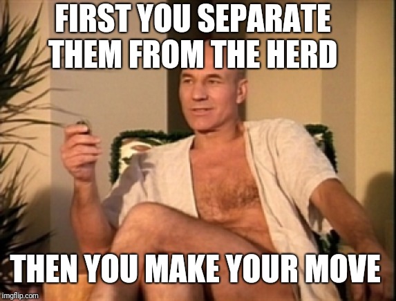 Sexual picard | FIRST YOU SEPARATE THEM FROM THE HERD THEN YOU MAKE YOUR MOVE | image tagged in sexual picard | made w/ Imgflip meme maker